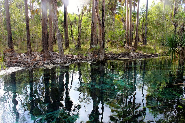 bitter springs australia