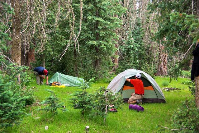 Coconino National Forest