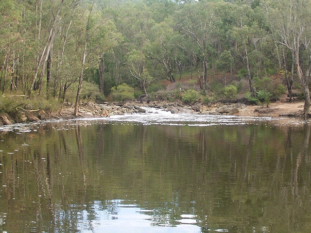 Lane Poole reserve