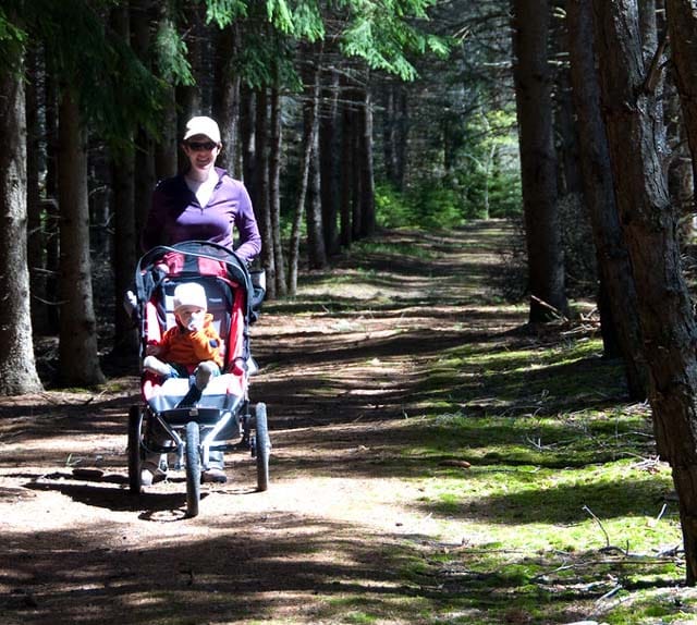 all terrain stroller on hiking path