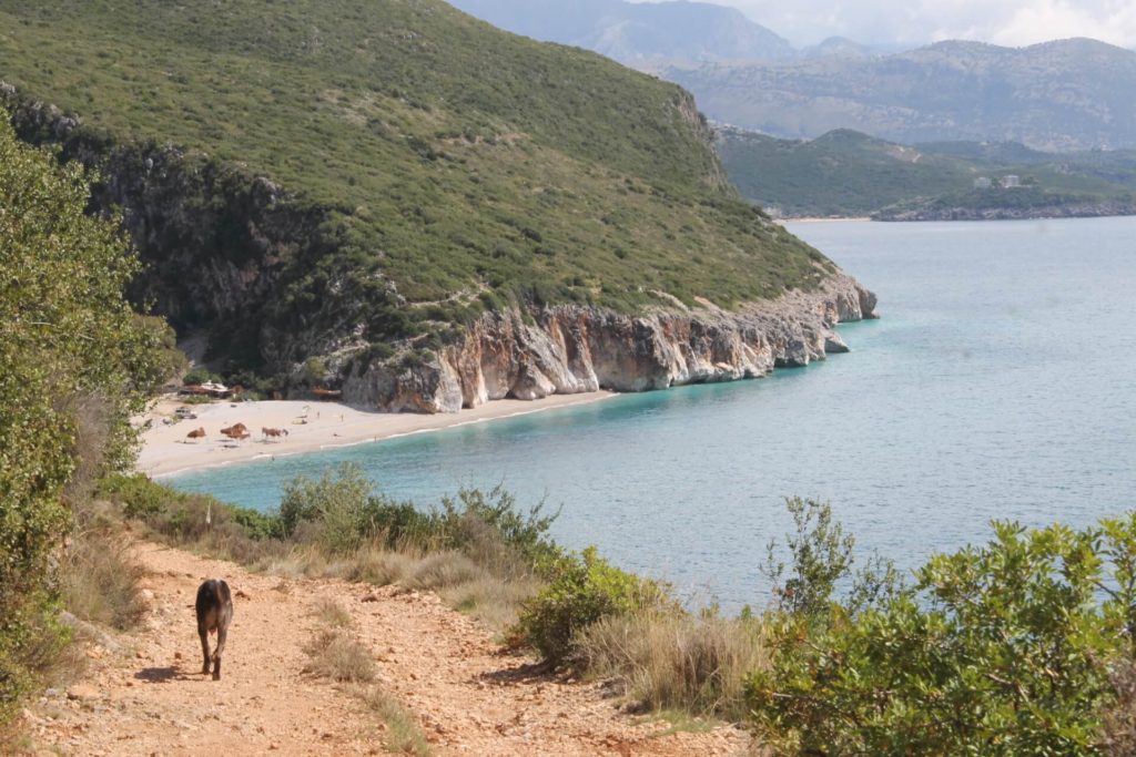 camping at Gjipe beach albania