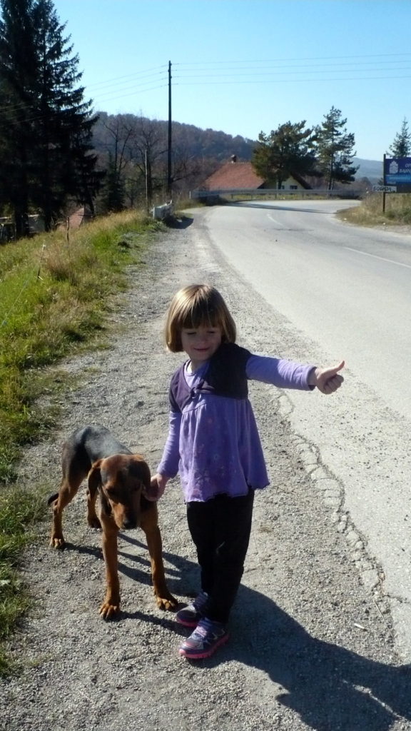 Isabel hitching a ride in Serbia. A village dog decided to wait with us. :)