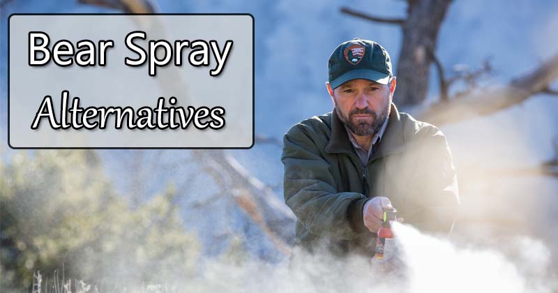 best bear spray alternatives