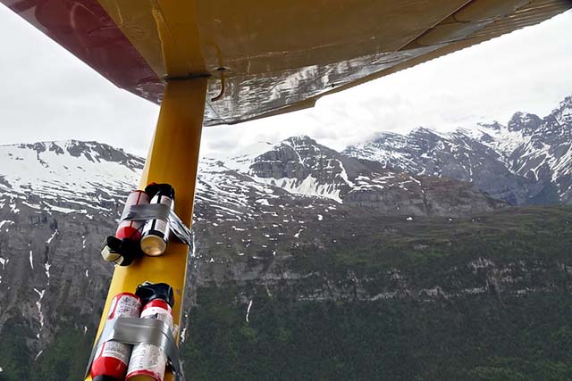 bear spray prohibited on plane