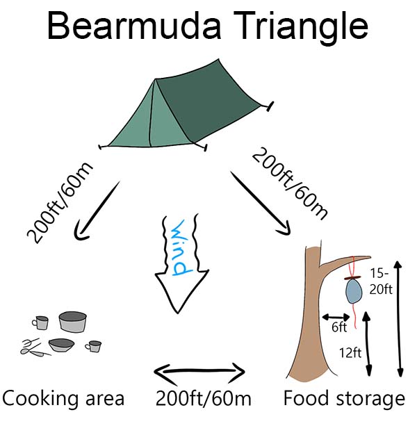 bearmuda triangle