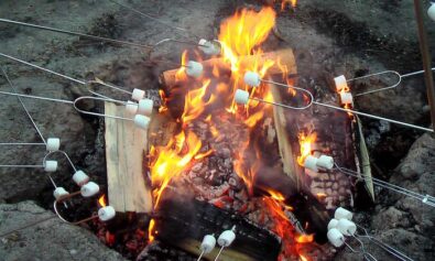 best marshmallow roasting sticks