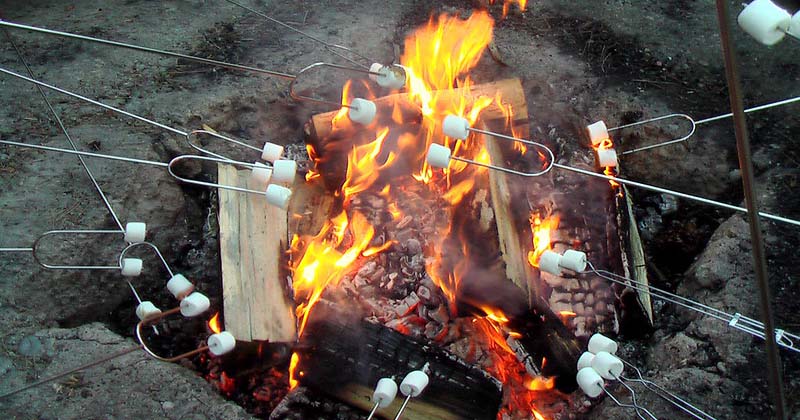 best marshmallow roasting sticks