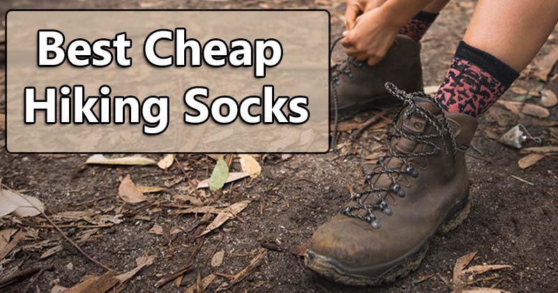 best cheap hiking socks