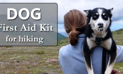 dog first aid kit for hiking