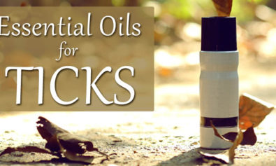 essential oils for ticks