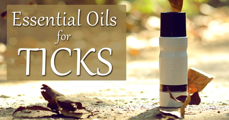 essential oils for ticks