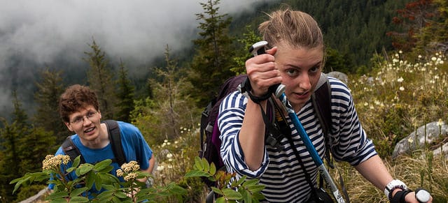 trekking poles reduce strain on knees