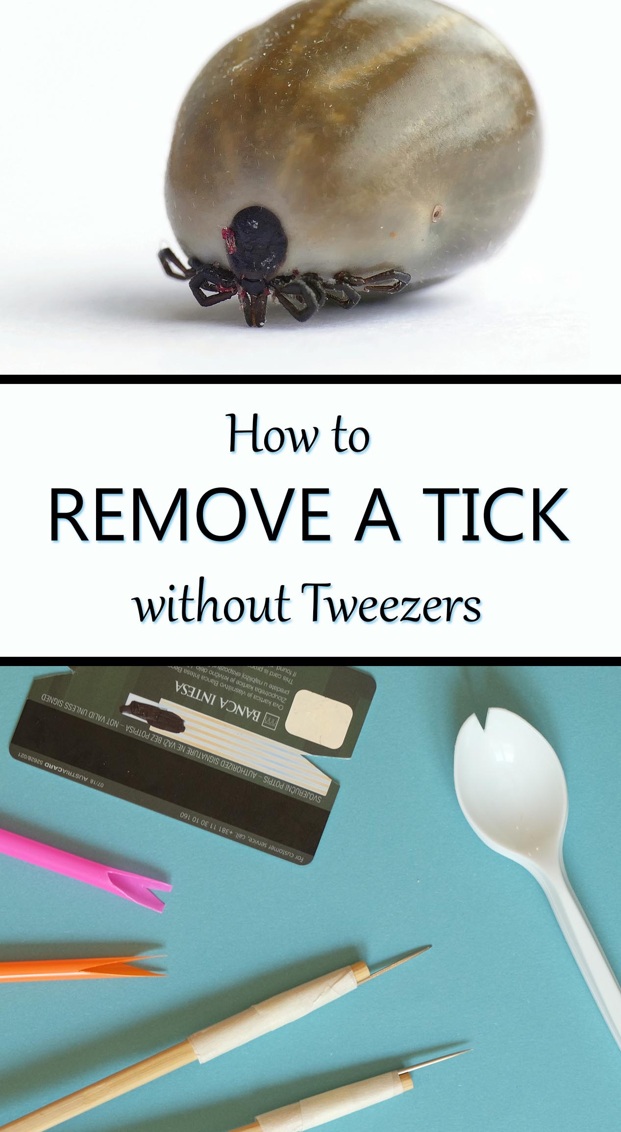 remove tick without tweezers