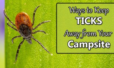 keep ticks away from campsite