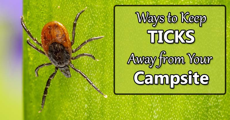 keep ticks away from campsite