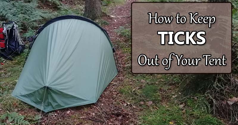 keep ticks out of tent