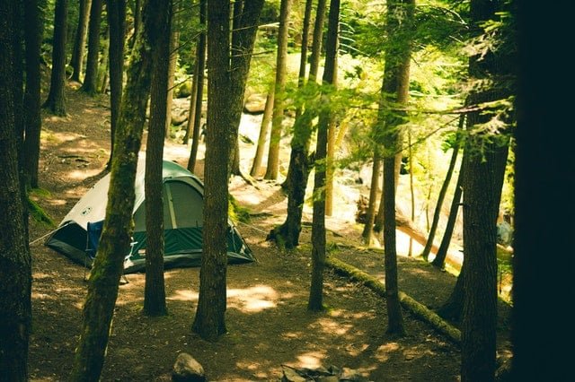 camping in the shade