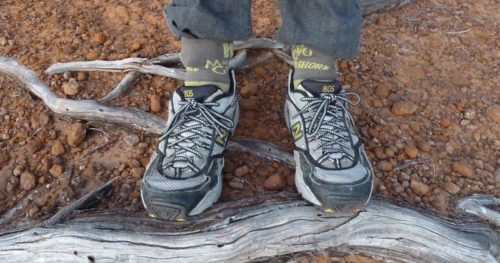 pants tucked into socks tick prevention