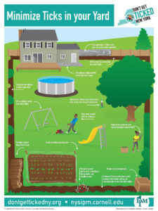 tick control methods for yard