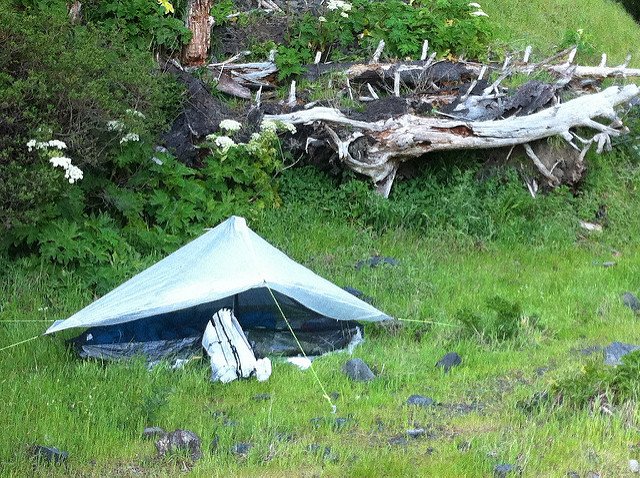 tent pitched with trekking poles