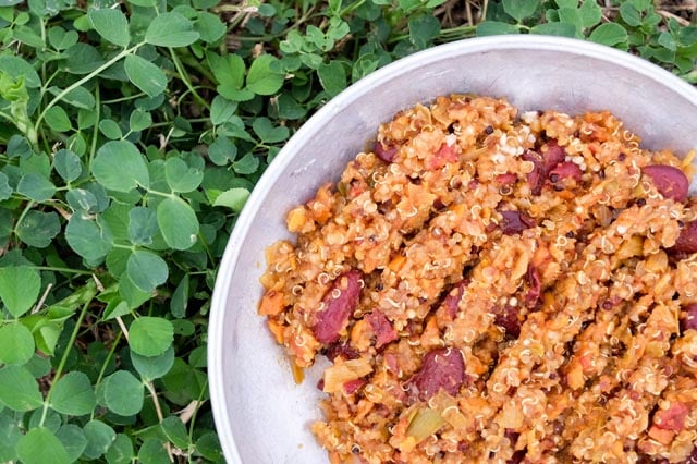 quinoa chili backpacking meal