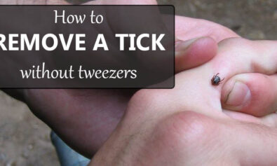 remove tick without tweezers