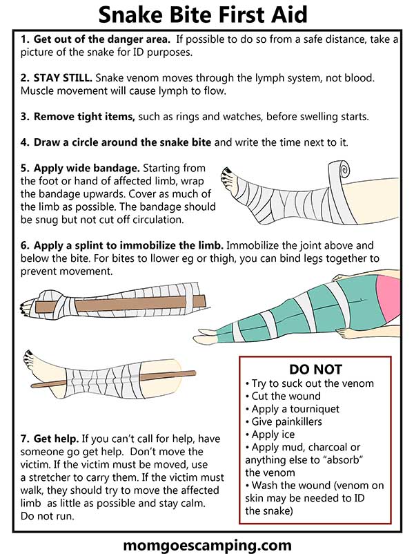 snake bite first aid