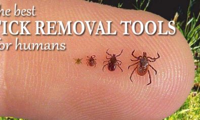 best tick removal tools